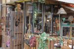 Shack of the Hangman K.H. Frank. View of the front porch. Artsafari Bubec, 2016 (26)