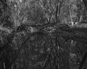 Pool on the River near Hardegg