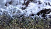 Glenade Water and Moss from Water Senses by Ruth Le Gear -glenadewaterandmossruthlegear.jpg