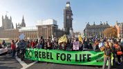 -rebellion-day-in-london-e1542476613908_1.jpg