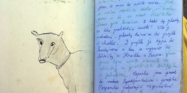 Tereza Říčanová: Deník krávy – Book of Cows. work in progress (2018)