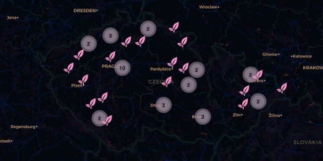 Cartography of Ecosystems-black-map.jpg