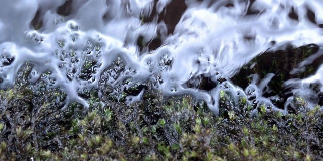 Glenade Water and Moss from Water Senses by Ruth Le Gear -glenadewaterandmossruthlegear.jpg