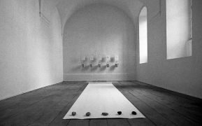 Peter Leliott, Installation view, convent, Fungus, 1994