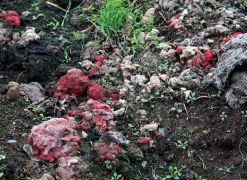 Close-up of heap of shoddy in West Yorkshire’s Heavy Woollen District