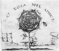 dat_rosa_mel