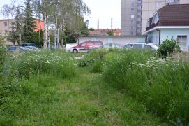 Guerilla gardening u ateliéru 2015